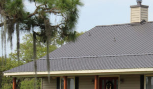 A standing seam metal roof on a Florida home with palm trees in the foreground.